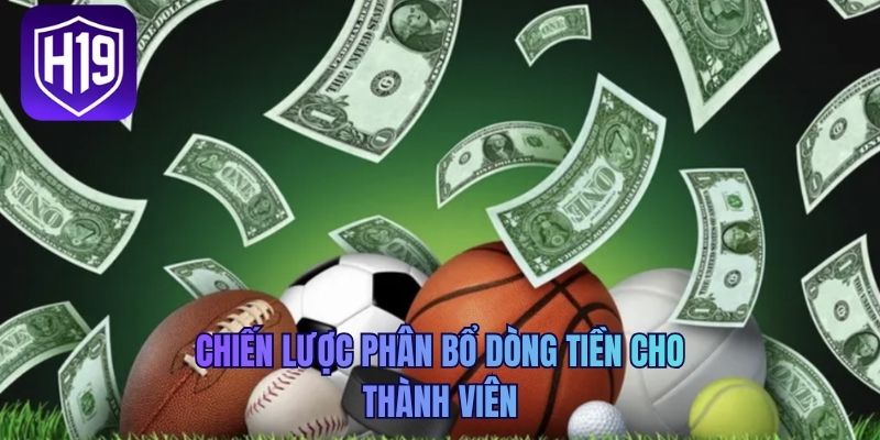 Chiến lược phân bổ dòng tiền cho thành viên