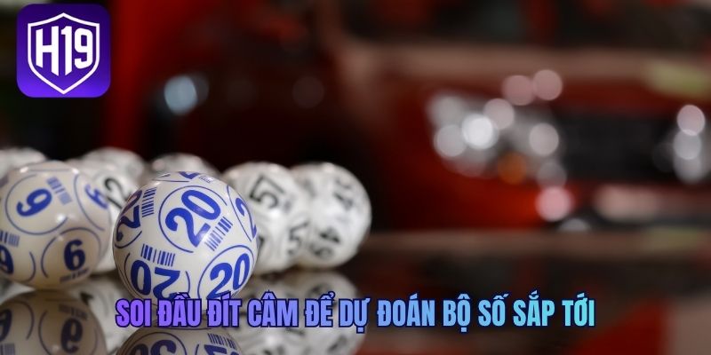 Soi đầu đít câm để dự đoán bộ số sắp tới